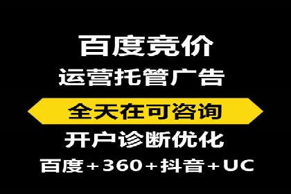案例研究：竞价广告助力电商行业增长